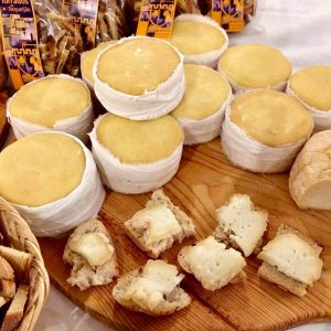 Queijo Serra da Estrela